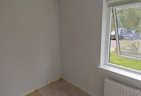 PETER THE PAINTER